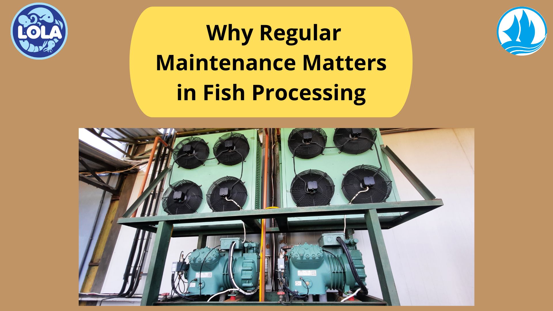  Why Regular Maintenance Matters in Fish Processing